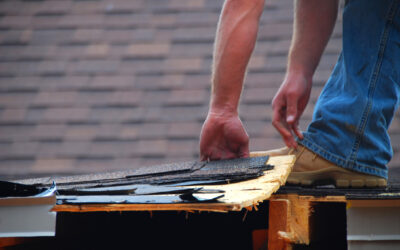 Expert Roofing Services in Wolverhampton: Quality Solutions from Trusted Professionals